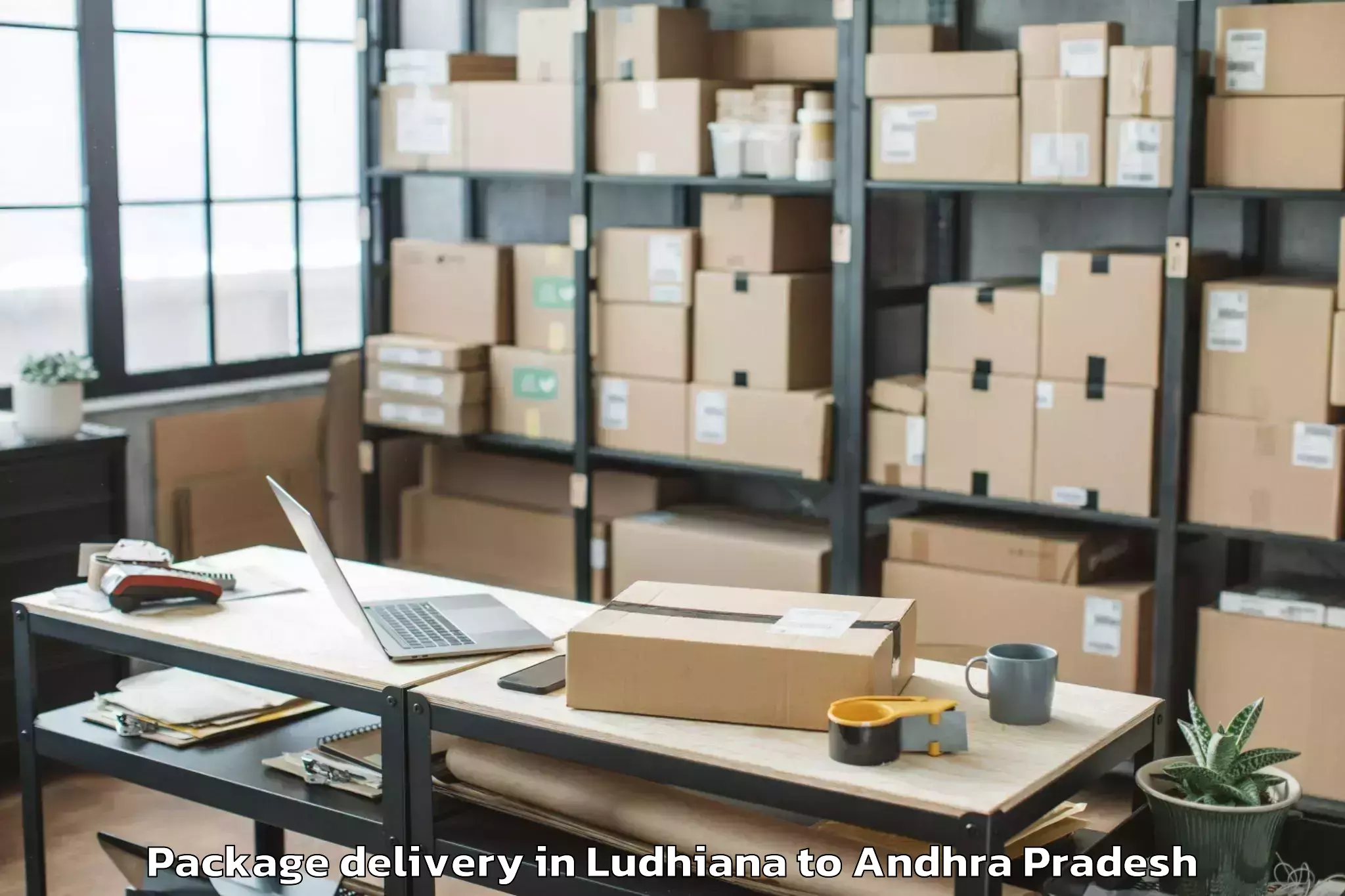 Professional Ludhiana to Pedda Kadubur Package Delivery